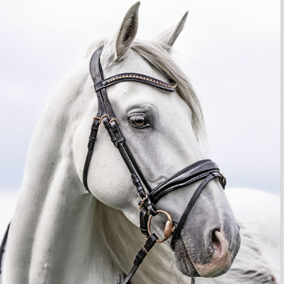 USG Trense Lovely Rose,schwarz