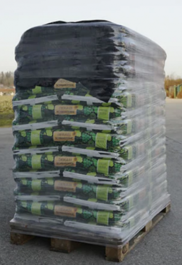 Bio-Chiemgauer Schwarzerde, 40 L Sack