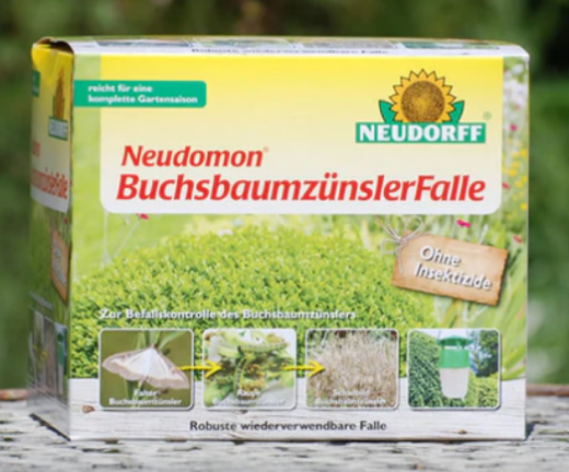 Neudorff Buchsbaumzünsler Falle