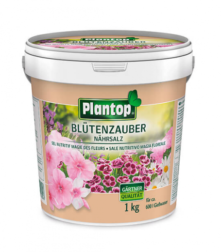 Ziegler Plantop Blütenzauber