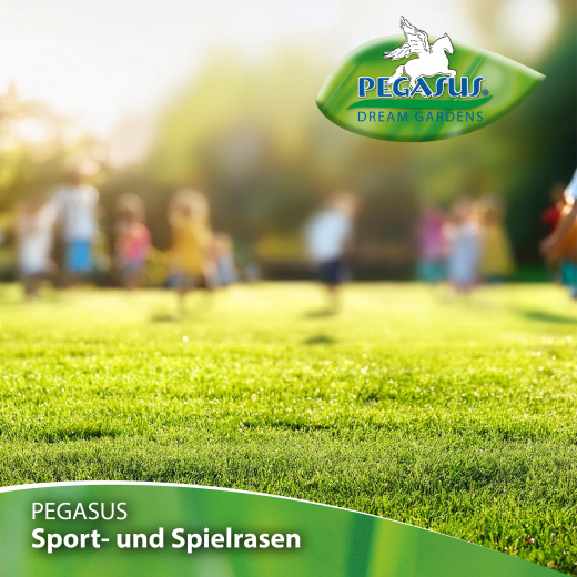 Pegasus Spiel-und Sportrasen 1 kg