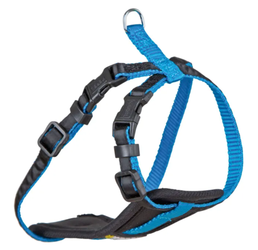 Geschirr für kleine Hunde XS neon blau