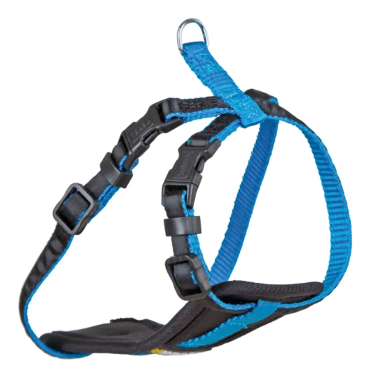 Geschirr für kleine Hunde S, neon blau