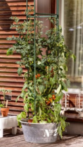 Windhager Tomaten-Rankturm