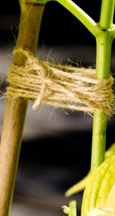 Windhager Flachs-Gartenschnur ÖKO