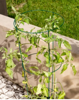 Windhager Tomaten-Turm rund