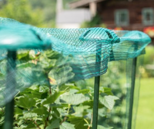 Windhager Pflanzenstab-Netzhalter