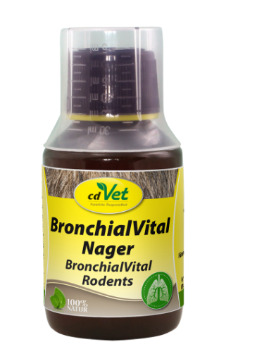BronchialVital Nager 100ml