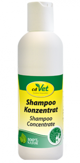 Shampoo Konzentrat 100ml