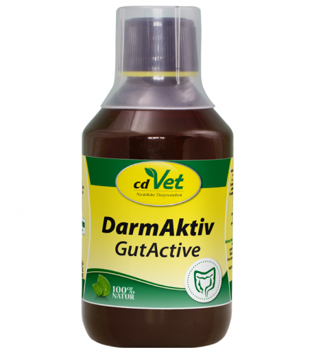 DarmAktiv Hund & Katze 250 ml