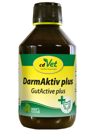 DarmAktiv plus 250ml