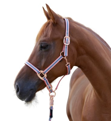 Halfter Cora grau,rose,weiß, Cob