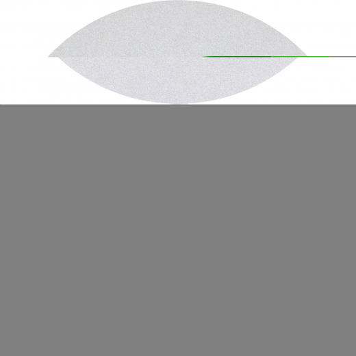 Haftschleifblätter 225mm K 100