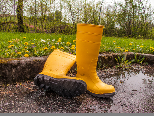 Sicherheitsstiefel Bob Gr.47