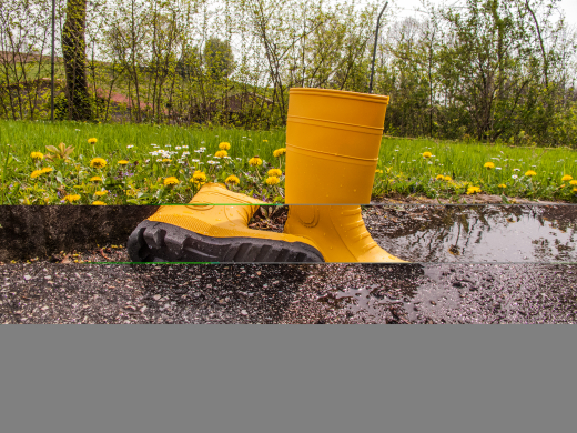 Sicherheitsstiefel Bob Gr.50