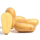 Kartoffel Sieglinde 2,5 kg, bio