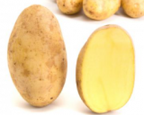 Kartoffel Goldmarie 2,5 kg