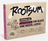 Rootsum Kraunema m²