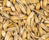 Walzhafer weiß-gelb 20 kg