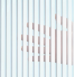 Polycarbonat Hohlkammerplatten klar 6