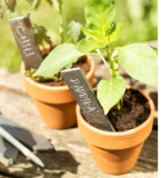 Windhager Stecketiketten Schiefer