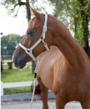 Halfter Cora taupe,mint,weiß, Pony