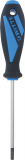 Torx-Schraubendreher T15, mit