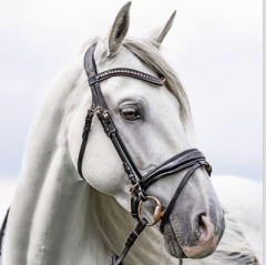 USG Trense Lovely Rose,schwarz