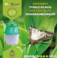 Biogroei Buchsbaumzünsler Deltafalle