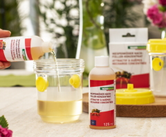 Windhager Wespenköder Nachfüllpack