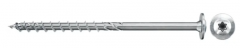 Fischer FPF II WTP 6,0 x 100 BC 100