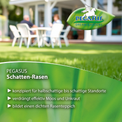 Pegasus Schatten-Rasen 1 kg