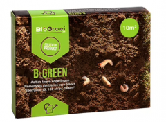 Rootsum B-green 10m²
