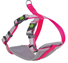 Geschirr für kleine Hunde S, neon pink