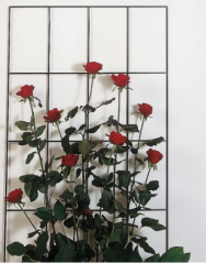 Windhager Metall-Gitterspalier