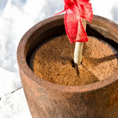 Windhager Mulchscheibe-Cocodisc