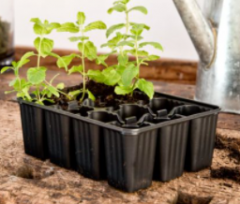 Windhager Topfplatten