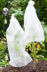 Windhager Tomaten-Vliesschlauch