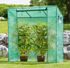 Windhager Tomatengewächshaus