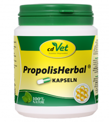 PropolisHerbal 100 Kapseln