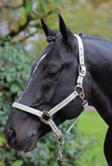 Halfter Cora taupe,mint,weiß, Full