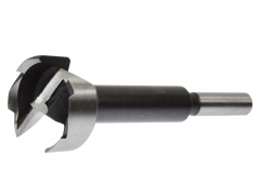 FORSTNERBOHRER 10 MM