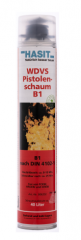 WDVS Pistolenschaum B1 750ml Dose